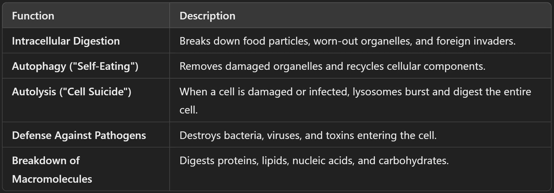 Functions of Lysosome